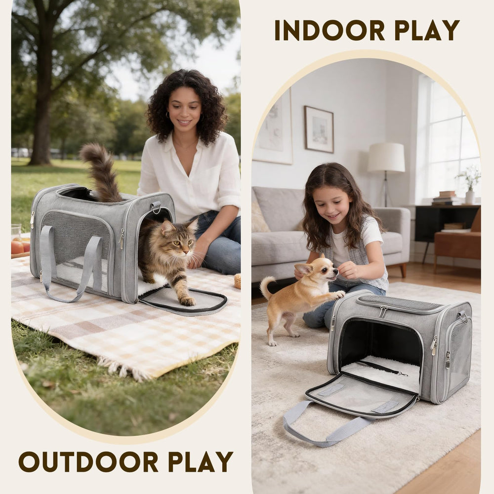 Gray Zedkeys carrier ready for airline travel and safe use