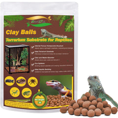 ZeeDix 6 LBS clay balls substrate in terrarium for natural drainage and humidity control.