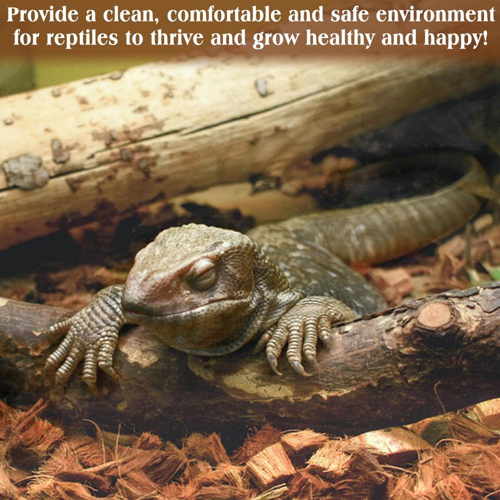 ZeeDix bedding supports comfortable terrarium environments for daily care.