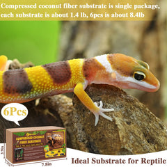 ZeeDix coconut fiber brick-expansion demonstrates bricks expanding with water for easy setup.