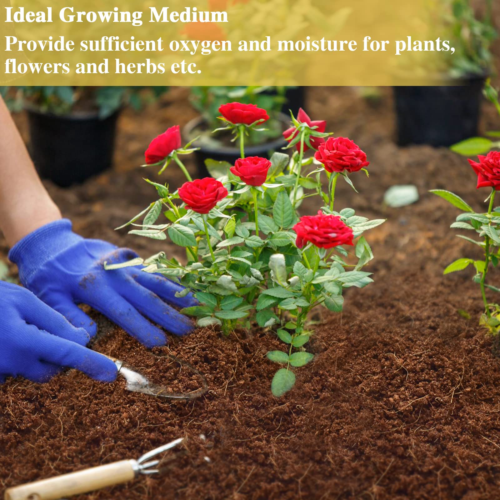 ZeeDix coir substrate supports garden plants and herbs