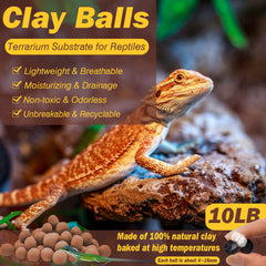 ZeeDix Leca balls regulate humidity in terrariums for a stable microclimate.
