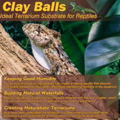 ZeeDix Leca balls form a natural aquifer to slowly release moisture.