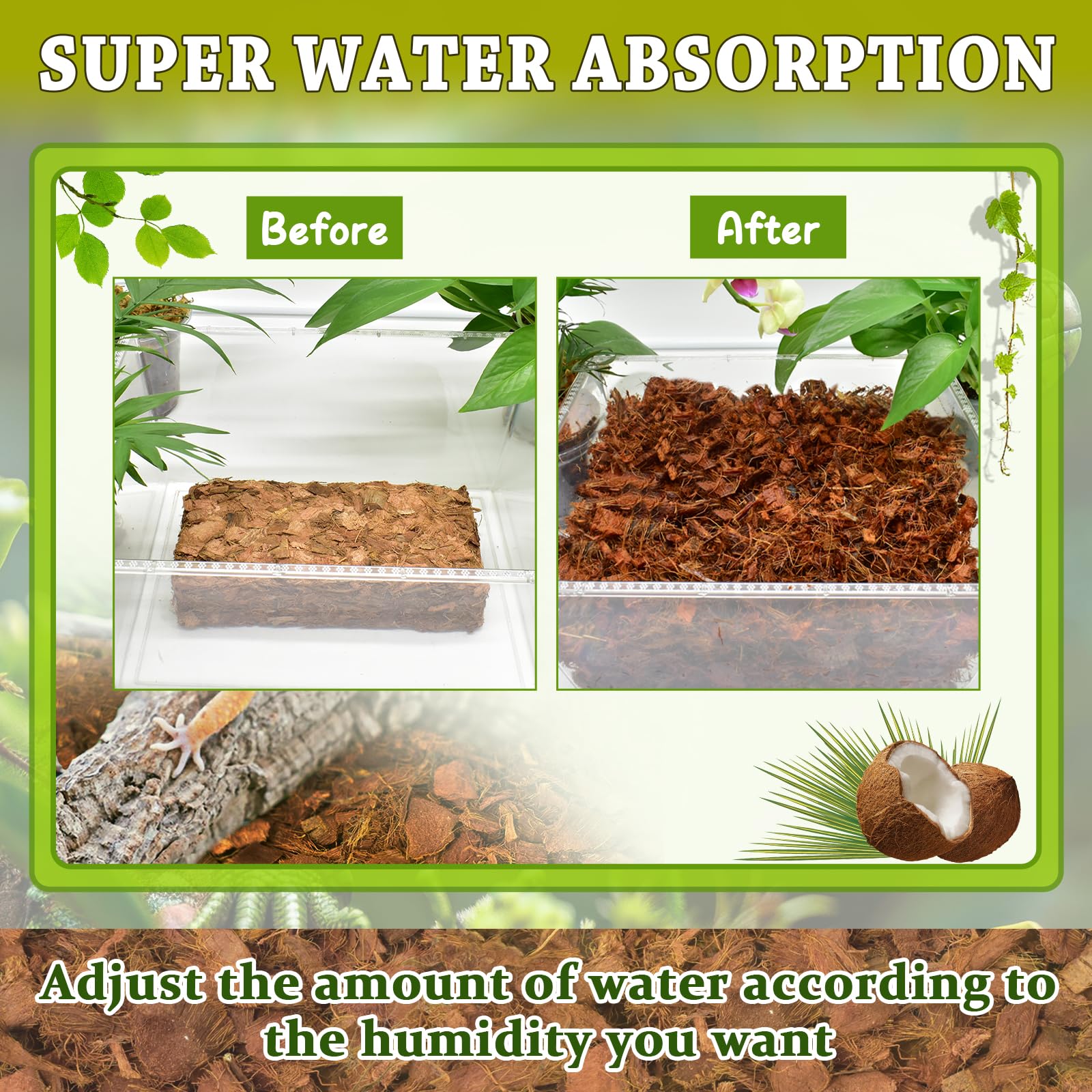 Zeedix moisture-absorbing substrate helps regulate terrarium humidity.