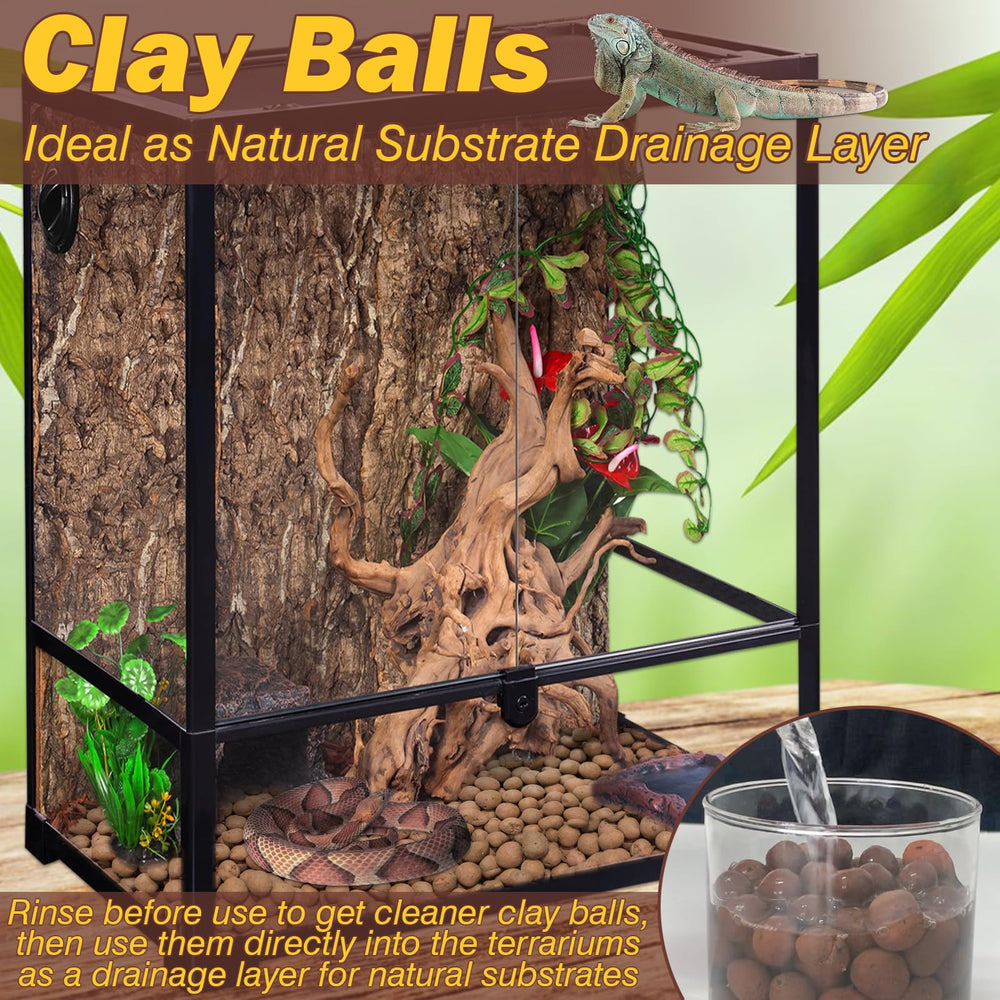 ZeeDix natural clay pebbles offer odor absorption and easy maintenance in terrariums.