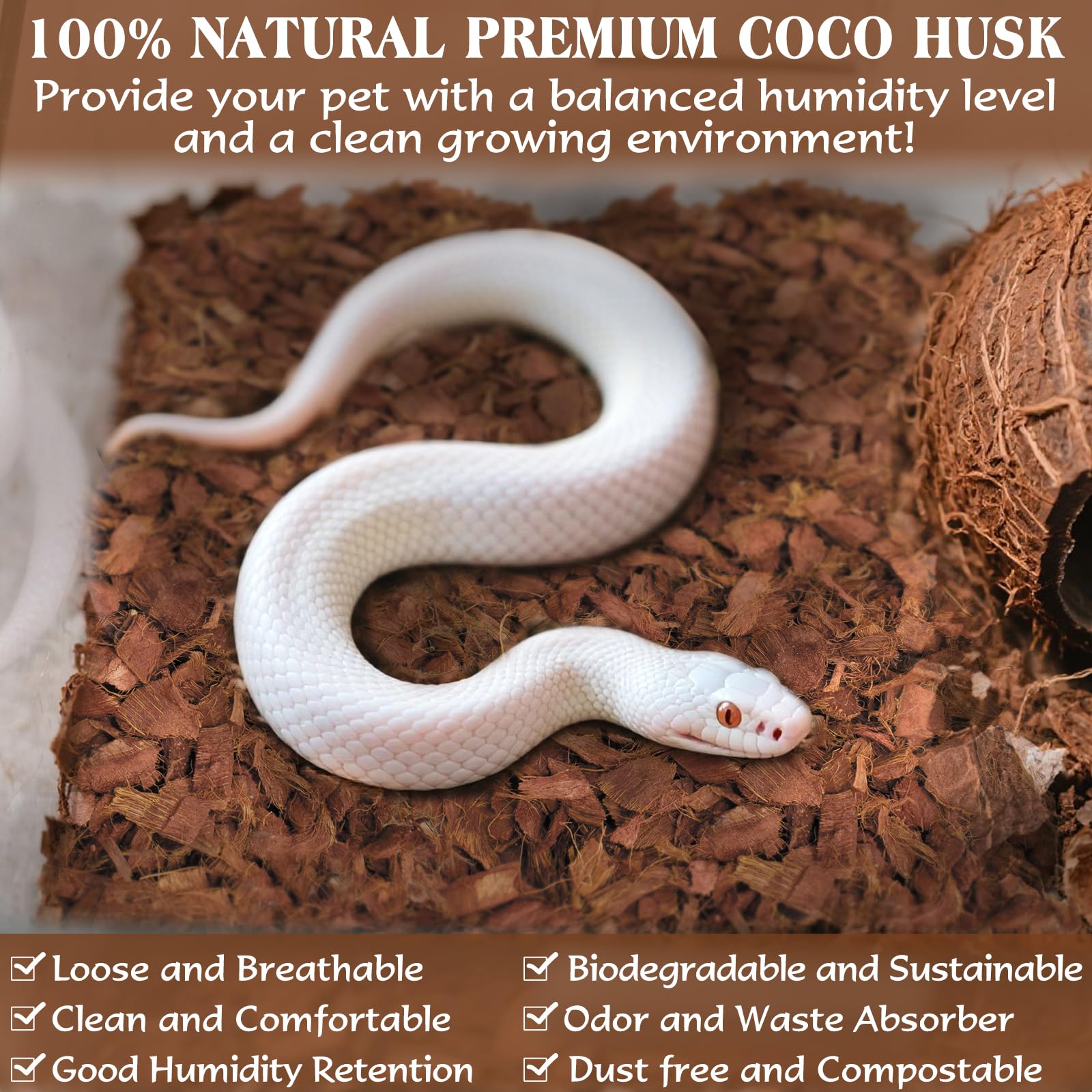 ZeeDix natural coco husk material offers dust-free, breathable substrate for terrariums.