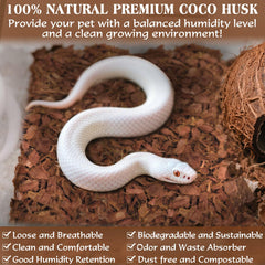 ZeeDix natural coco husk material offers dust-free, breathable substrate for terrariums.