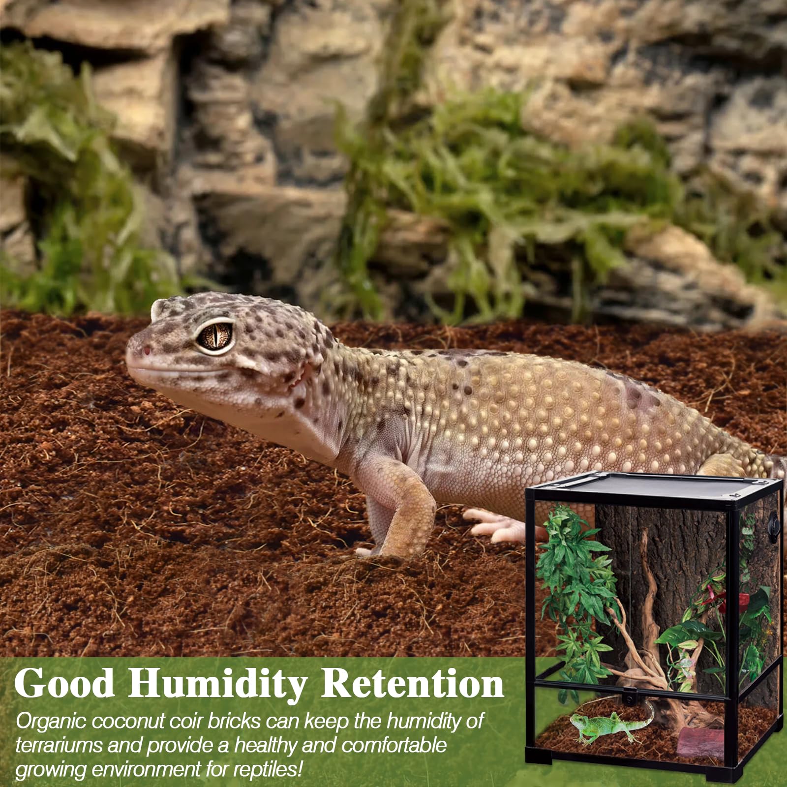 ZeeDix natural coconut coir is eco-friendly for disposal after use.