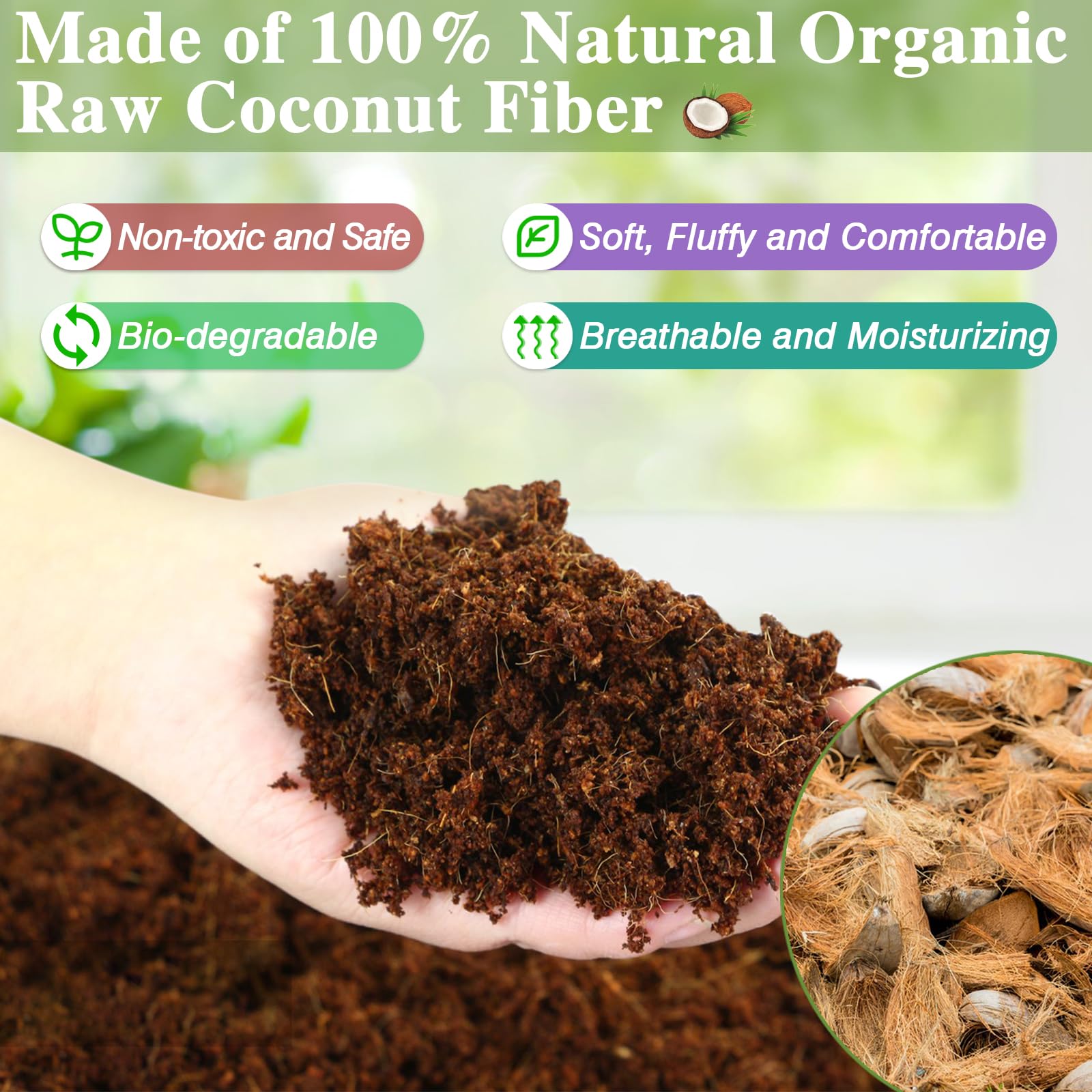 ZeeDix odor absorption helps keep terrariums fresh and neutral.