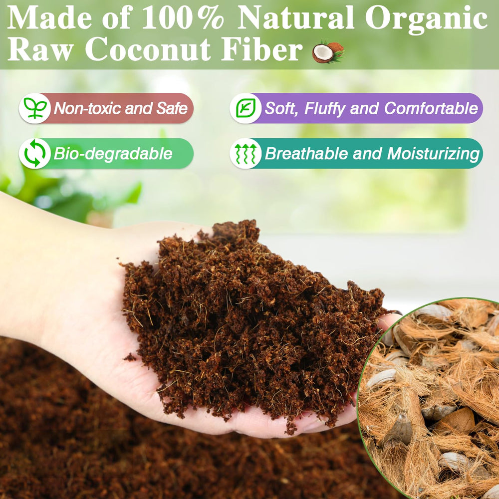 ZeeDix odor absorption helps keep terrariums fresh and neutral.