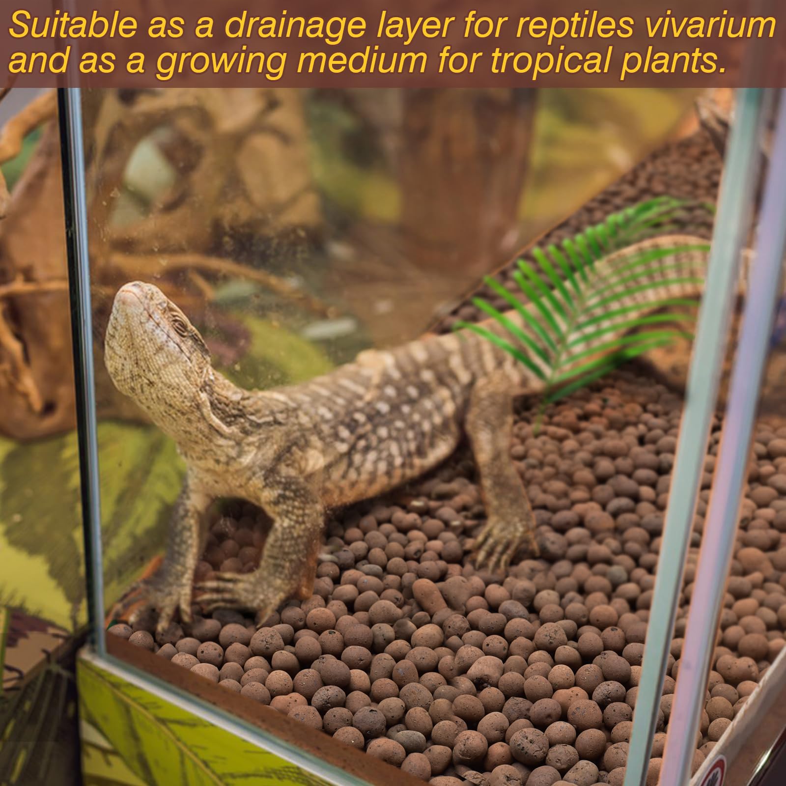 ZeeDix plant growing medium clay supports slow nutrient release for terrarium plants.