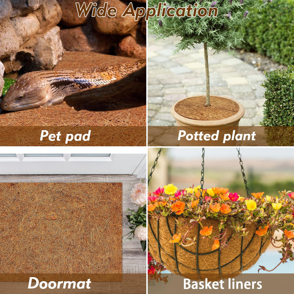 ZeeDix reptile mat in bearded dragon enclosure for comfortable habitat