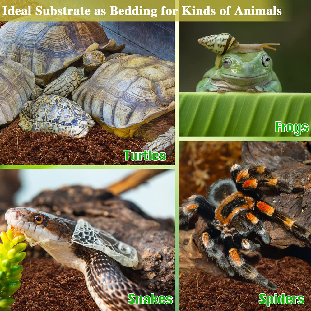 ZeeDix substrate absorbs liquids and reduces odors in terrariums