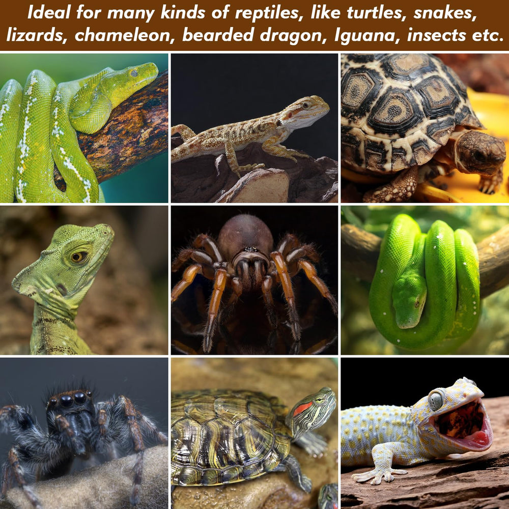 ZeeDix versatile reptile liner suitable for bearded dragons and turtles