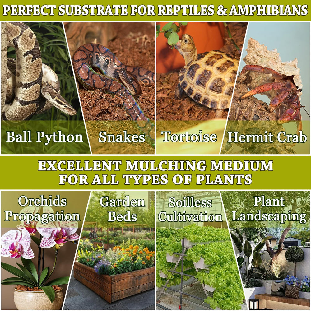 Zeedix versatile substrate supports reptiles, amphibians, and invertebrates.