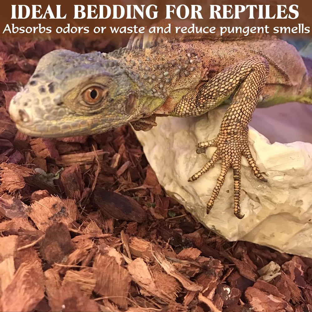 ZeeDix versatile substrate suits snakes, lizards, turtles, and arachnids.
