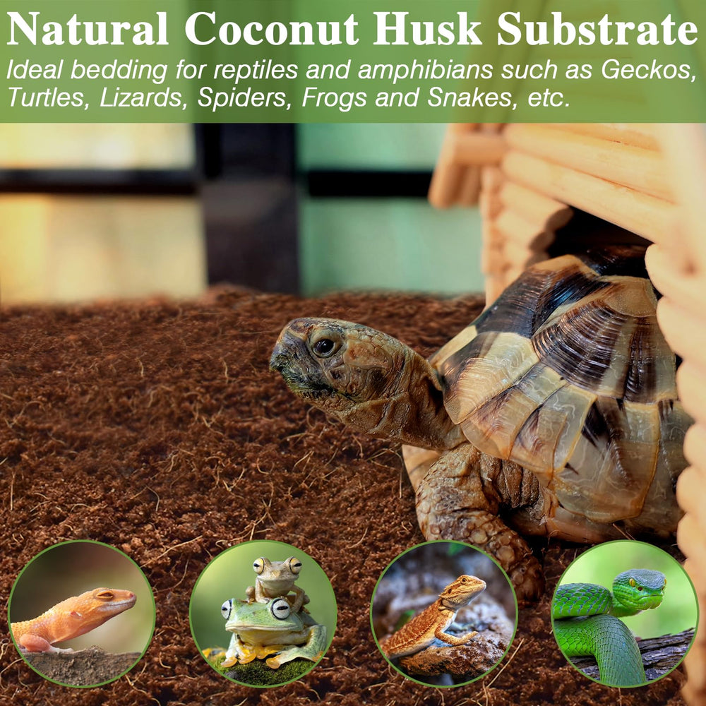 ZeeDix substrate suits reptiles, amphibians, and invertebrates in versatile habitats.