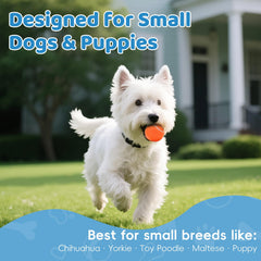 Zeefpod dog-safe non-abrasive felt balls gentle on teeth.