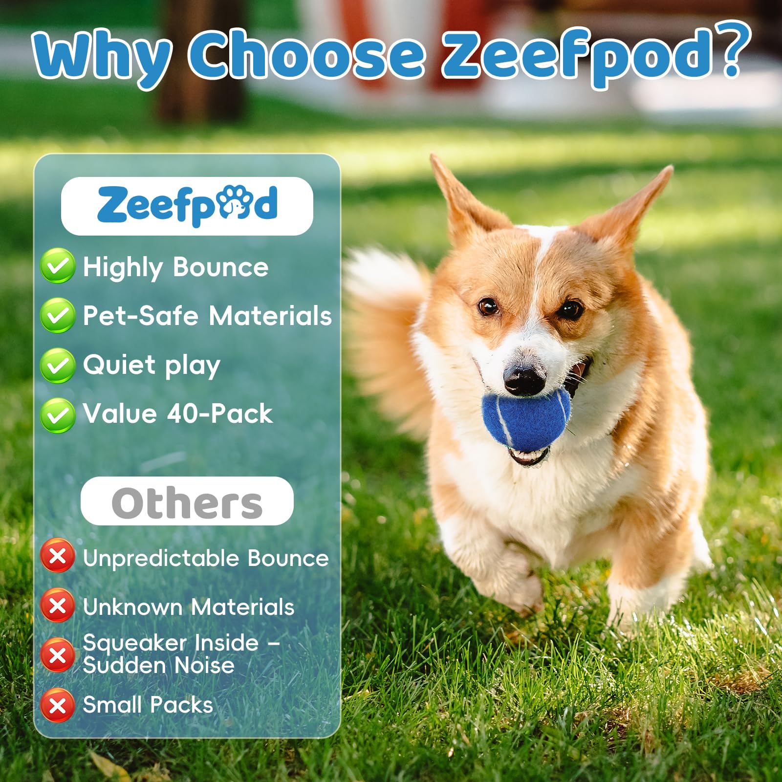 Zeefpod mesh bag provides easy transport and storage.
