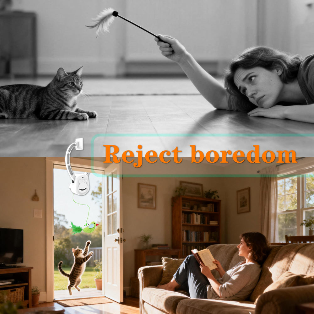 ZEHEXO USB rechargeable cat toy delivers quiet, long play sessions