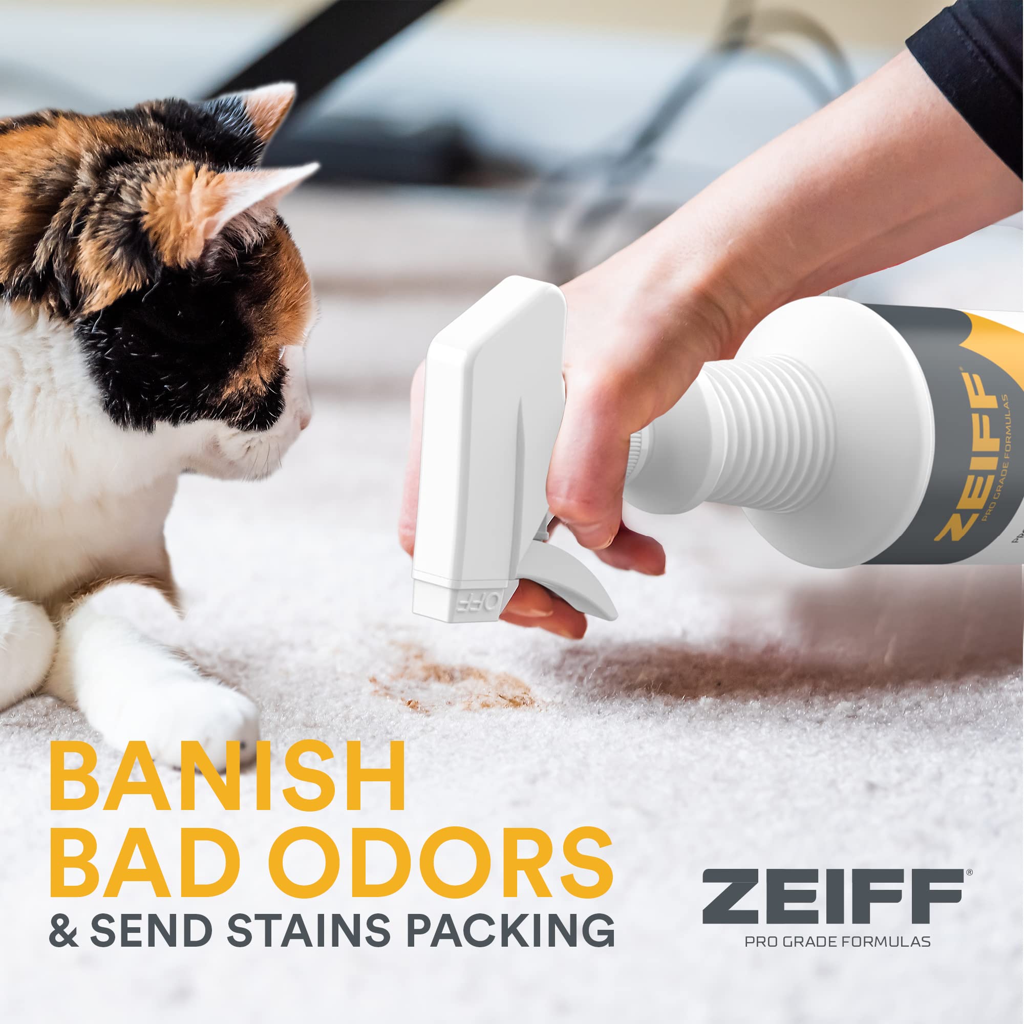 Zeiff bottle next to size options quart and gallon