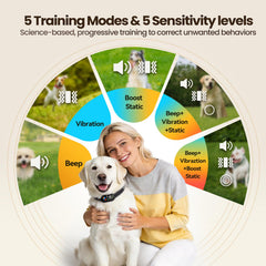 Zellar Smart Bark Collar automatic bark counter tracks your dog's barking.
