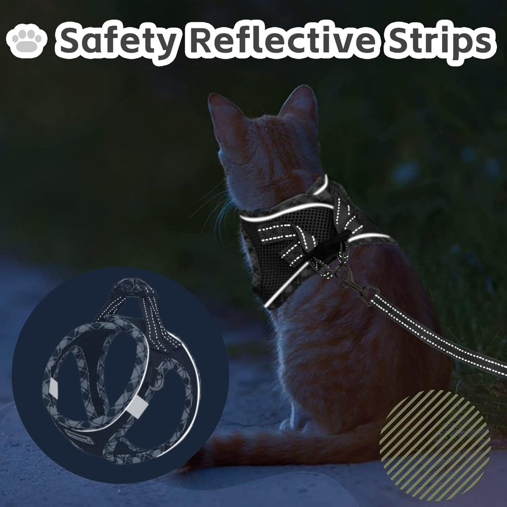 Zelvian 5 ft reflective leash complements night time use