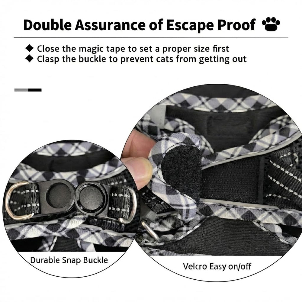 Zelvian dual D-rings add security against escapes