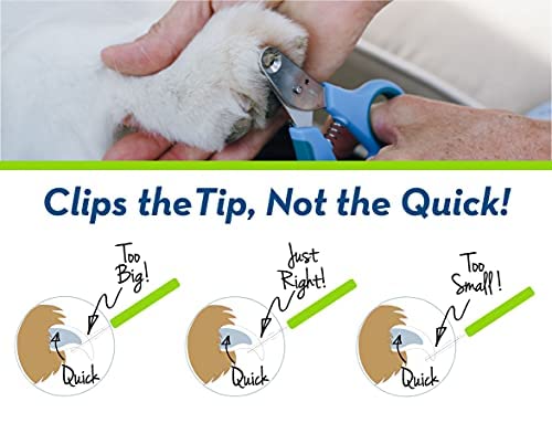 Zen Clipper compact size fits cats and easy storage.