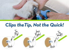 Zen Clipper featuring a non-slip handle for comfortable grooming