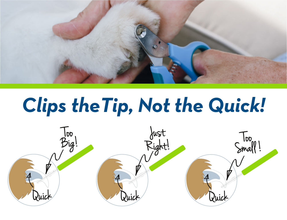 Zen Clipper stainless-steel blades ensure a clean cut
