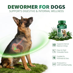 Zencar Zenectin Dewormer packaging highlights directions and safety notes for dog owners