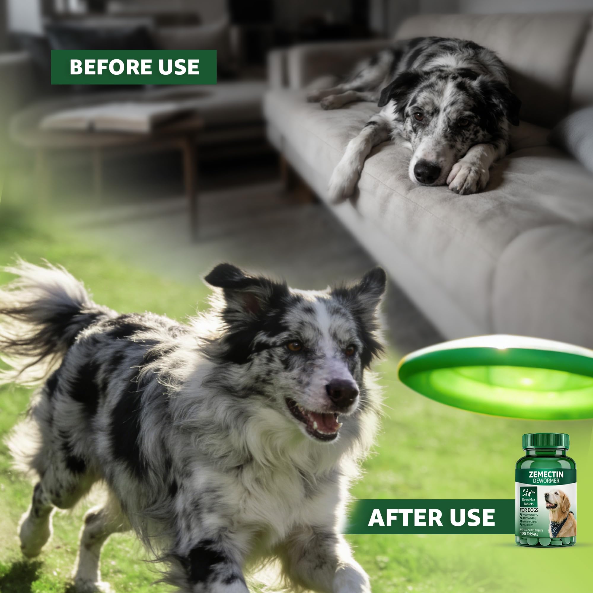 Dosing spoon with Zenectin Dewormer ready for accurate administration to a dog