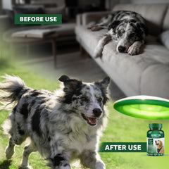 Dosing spoon with Zenectin Dewormer ready for accurate administration to a dog