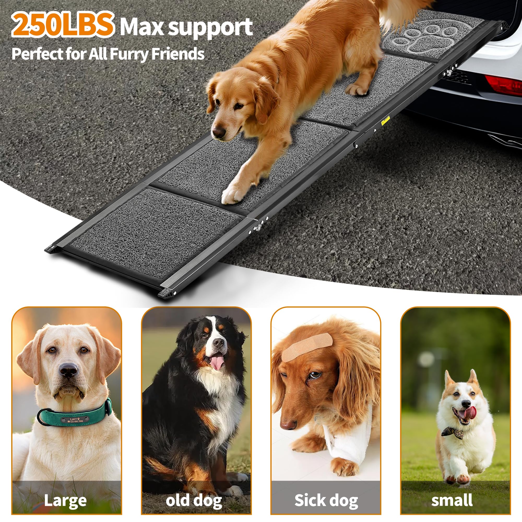Zendova dog ramp rust-resistant metal built for lasting use.