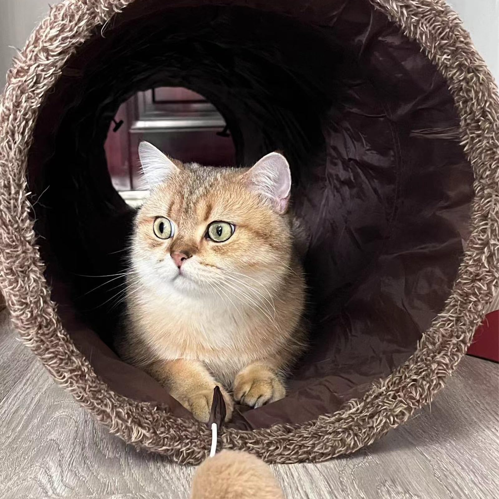 ZENFUN cat tunnel easy cleaning with wipe-friendly interior