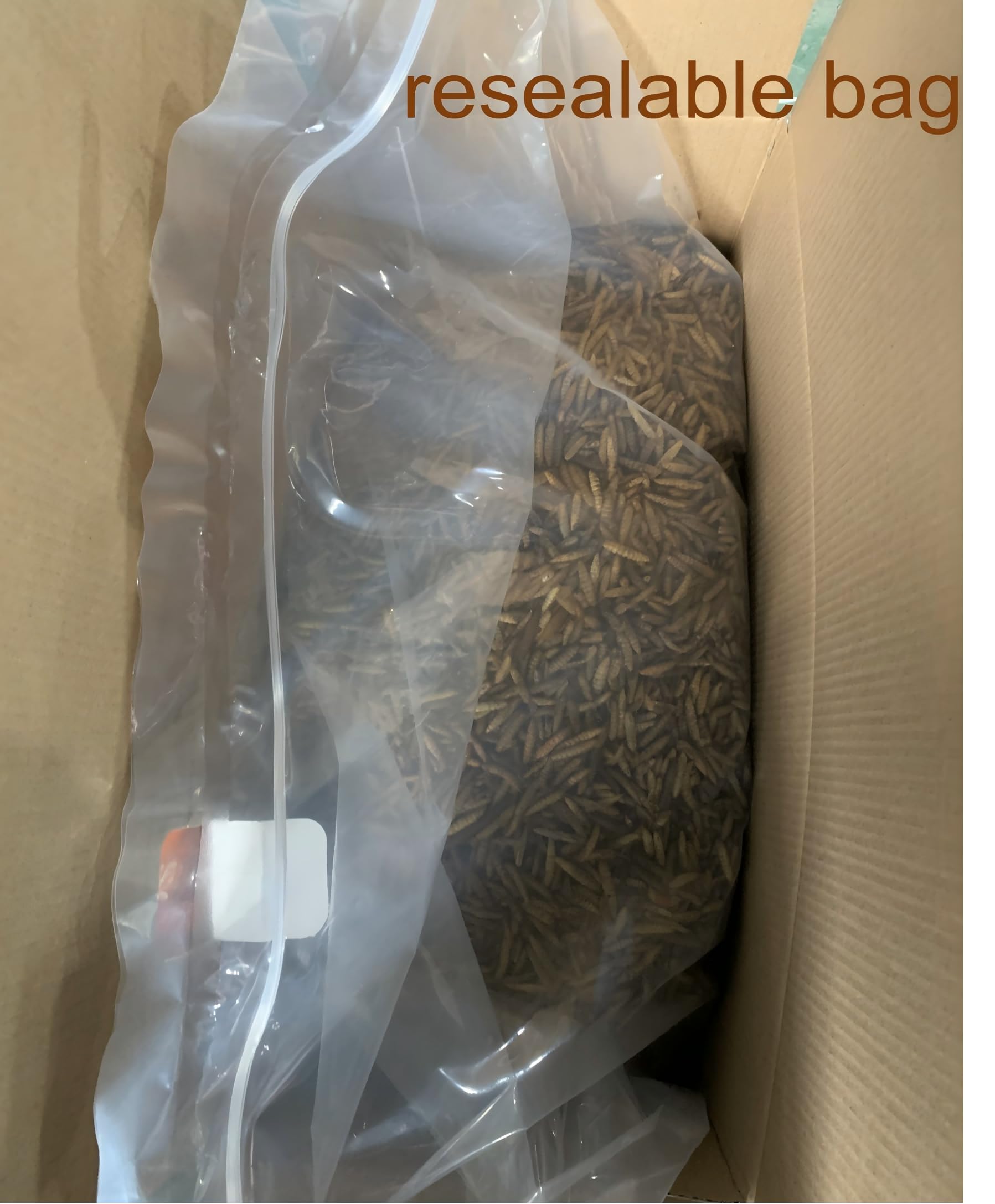 ZenithWorks BSF larvae on shelf in a farm setting, a calcium-rich poultry snack.
