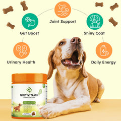 ZENO dog vitamins 150-count chew package for long term daily wellness