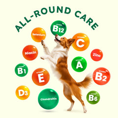 ZENO 150-multivitamin chews label for all-in-one daily dog health.