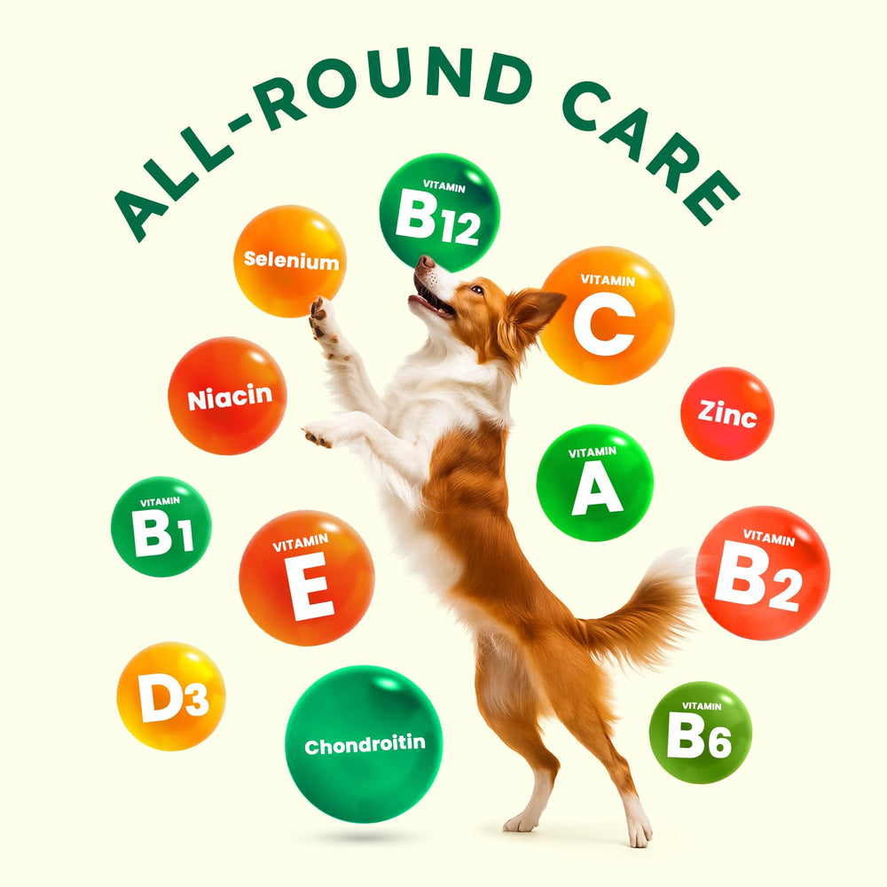 ZENO dog vitamins chews with chicken flavor treats to reward your pup
