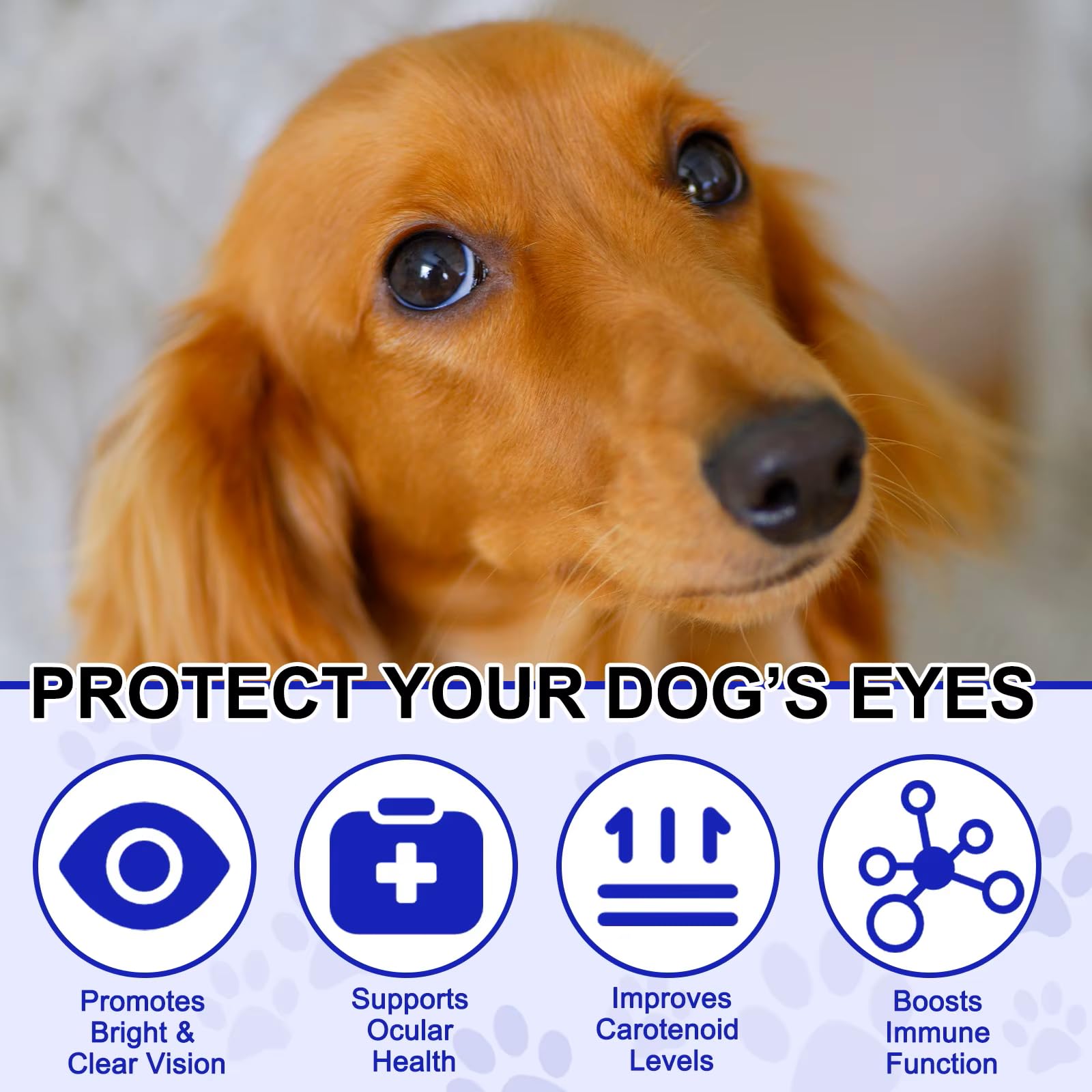 zenpaws eye health formula addressing redness and discharge.