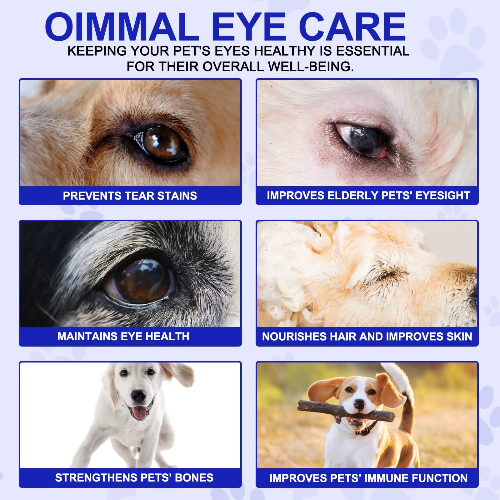 zenpaws omega-3 dha eye health benefits for dogs.