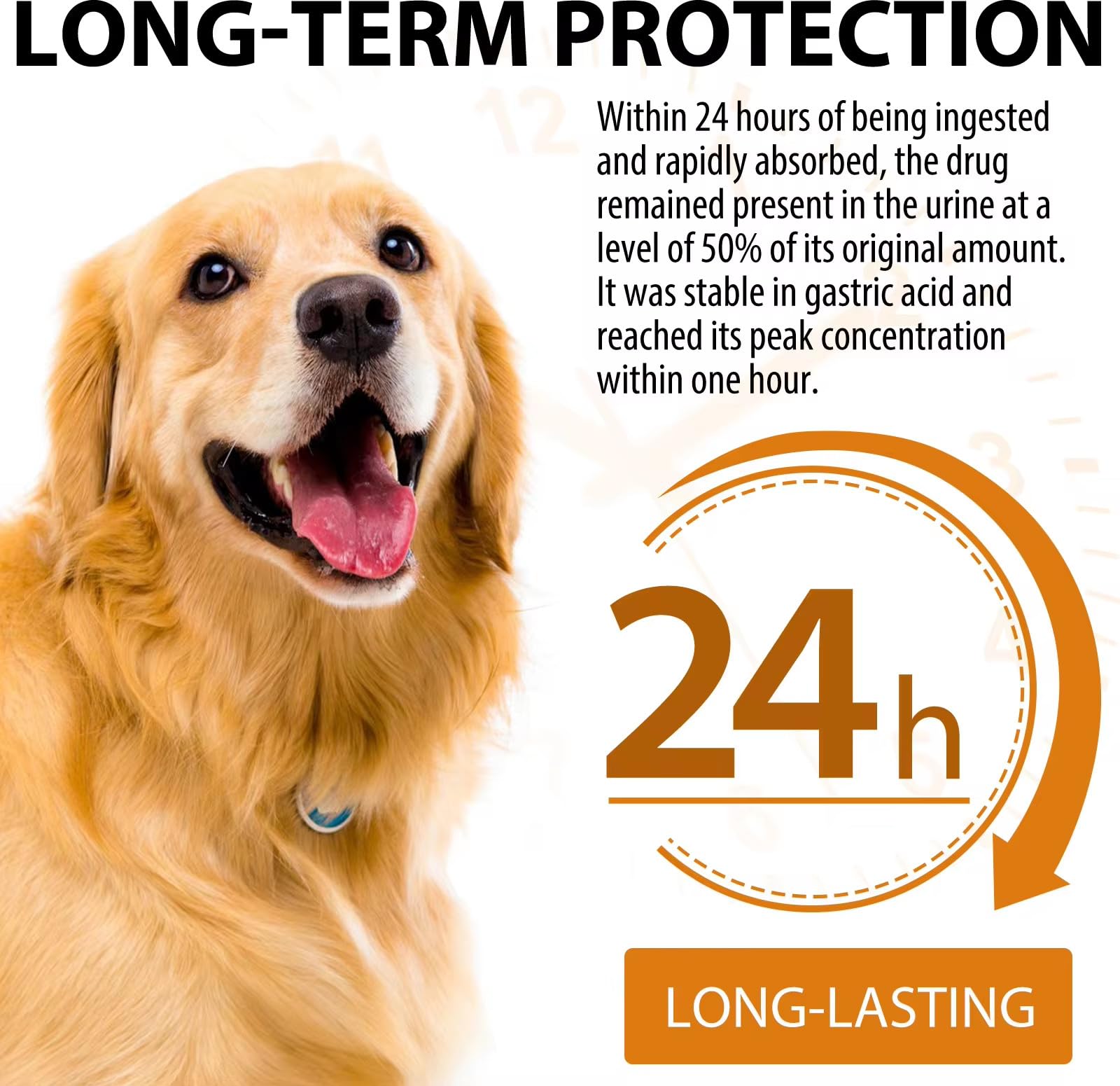 Blue dropper cap demonstrates easy administration of Zenpaws Quercetin for Dogs.
