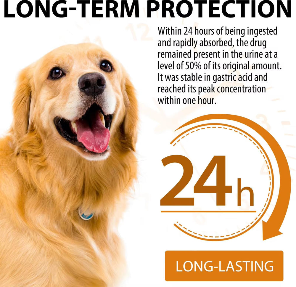 Blue dropper cap demonstrates easy administration of Zenpaws Quercetin for Dogs.