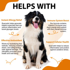 Drops added to dog food illustrates easy supplementation for Zenpaws Quercetin for Dogs.