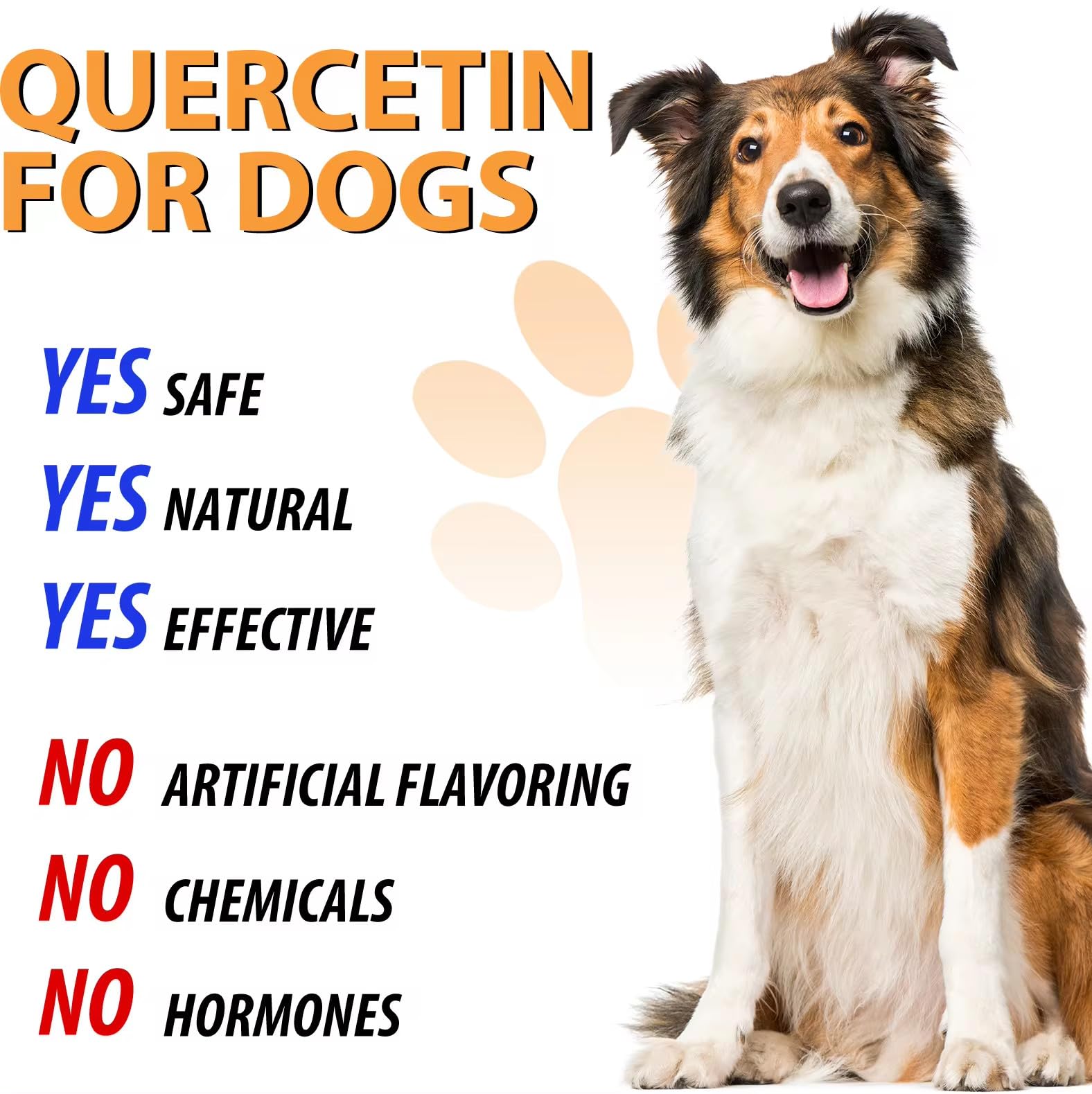 Product on shelf communicates immune and antioxidant support from Zenpaws Quercetin for Dogs.