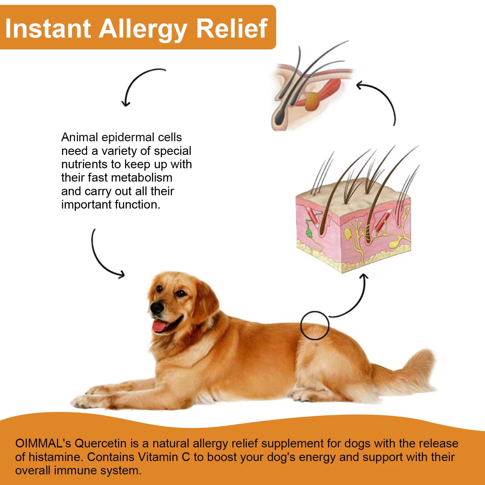 Ingredient label highlights natural quercetin within Zenpaws formula for dogs.