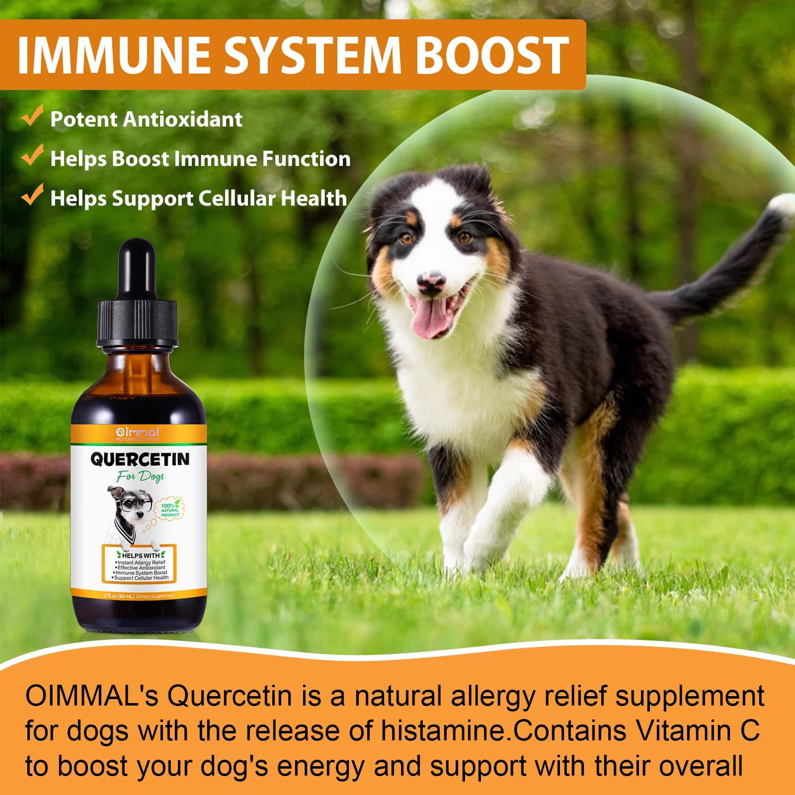 Close-up of the Zenpaws label emphasizes non-GMO and sugar-free formula for dogs.