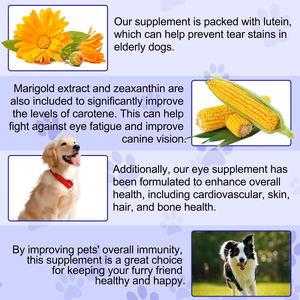 zenpaws dog eye health formula supporting comfort during allergy season.
