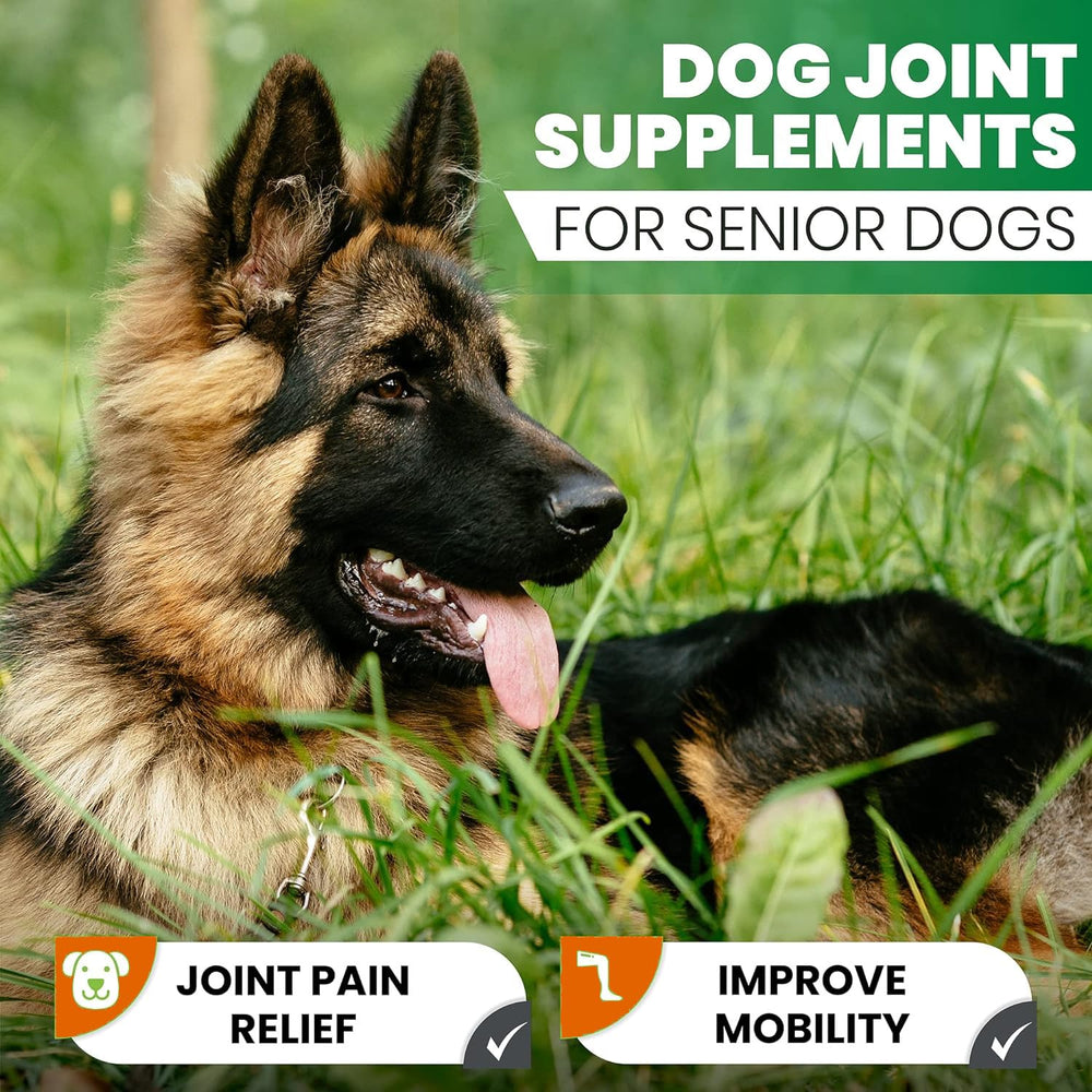 Zenpaws Turmeric for Dogs joint mobility graphic indicating flexibility